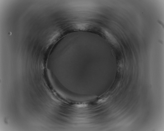 X0000097890500200803141336