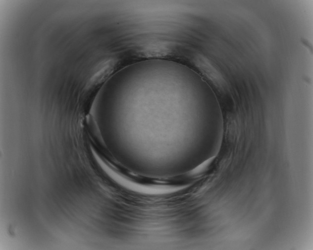 X0000097890501200803141336