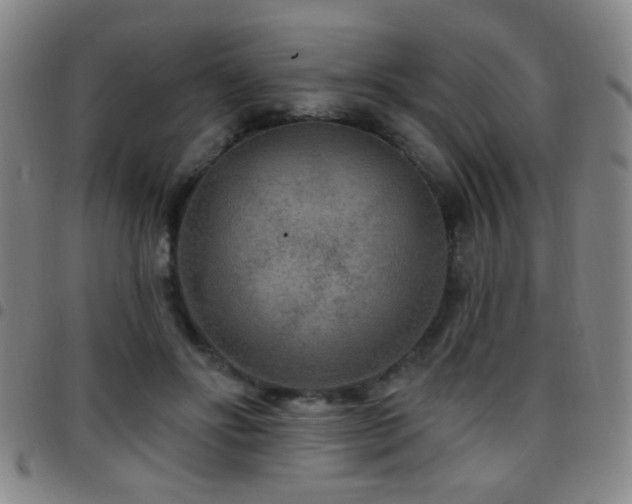 X0000097890502200803141336
