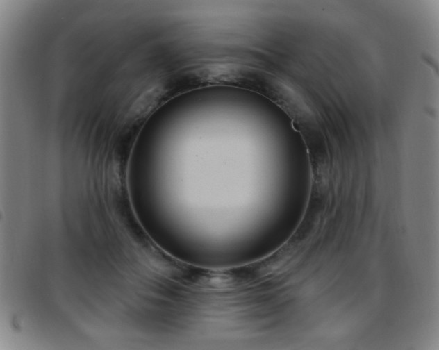 X0000097890506200803141336