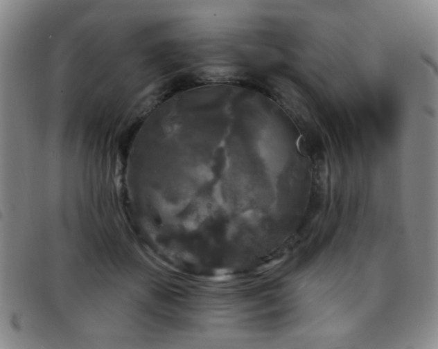 X0000097890507200803141336