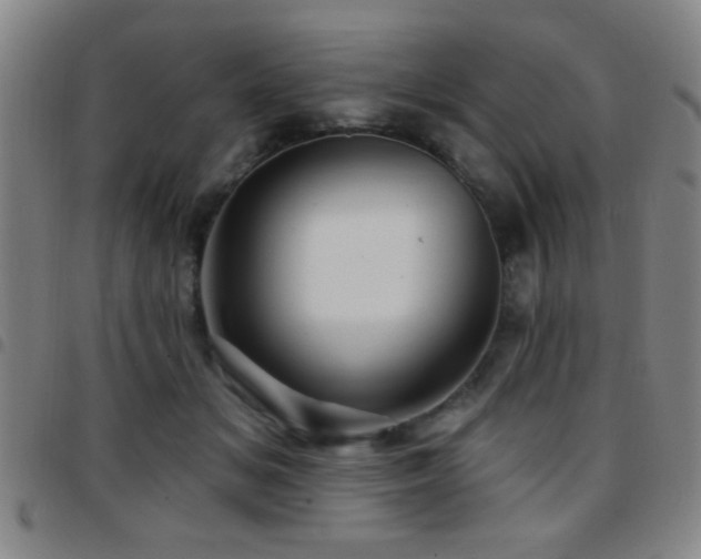 X0000097890509200803141336