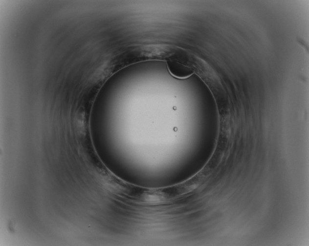 X0000097890510200803141336