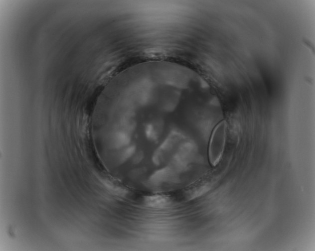 X0000097890511200803141336