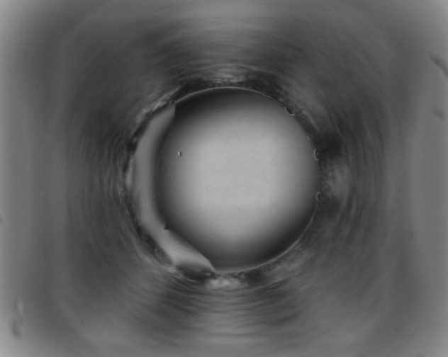 X0000097890512200803141336