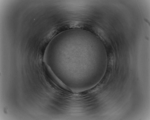 X0000097890513200803141336