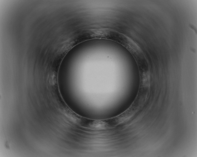 X0000097890514200803141336