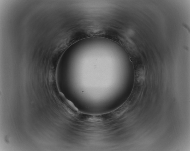 X0000097890515200803141336