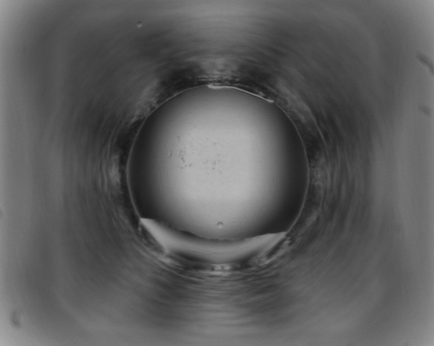 X0000097890516200803141336