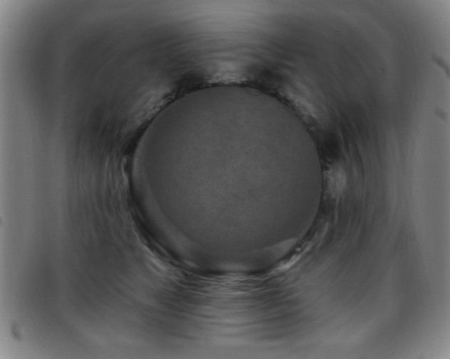X0000097890517200803141336