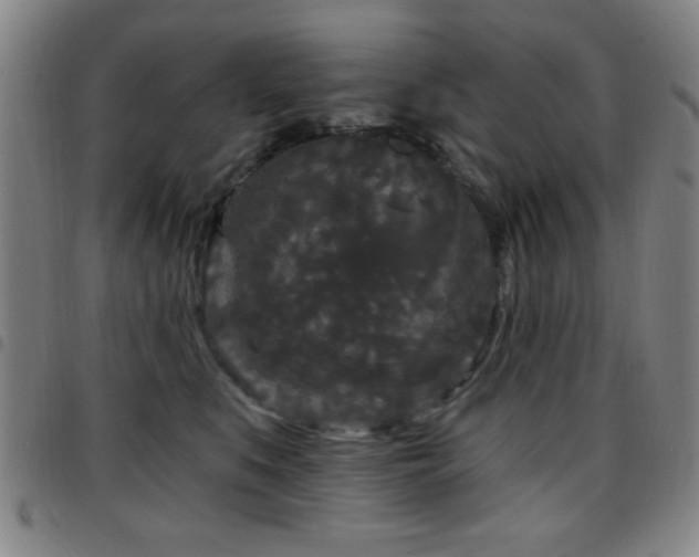 X0000097890519200803141336
