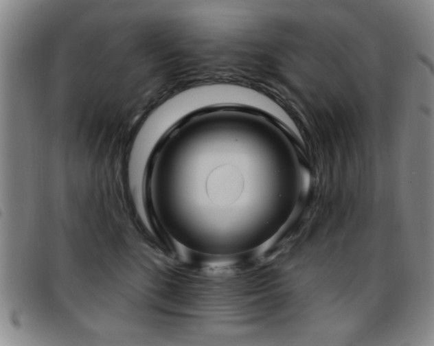 X0000097890520200803141336