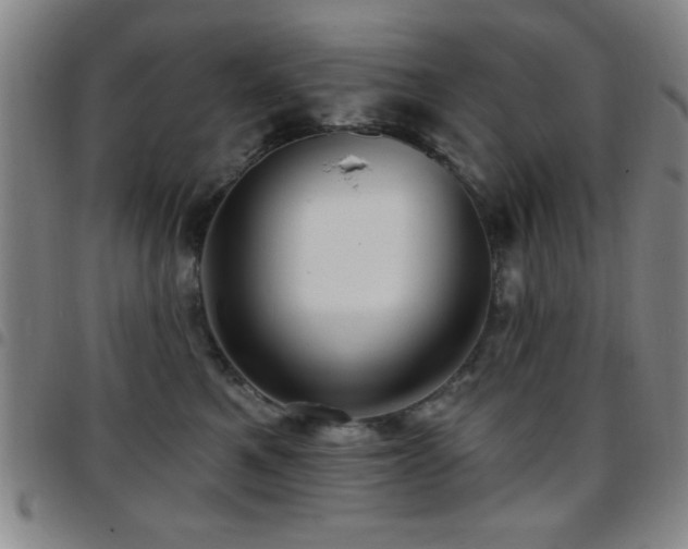 X0000097890521200803141336