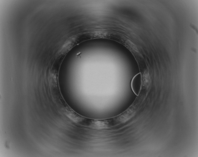 X0000097890522200803141336