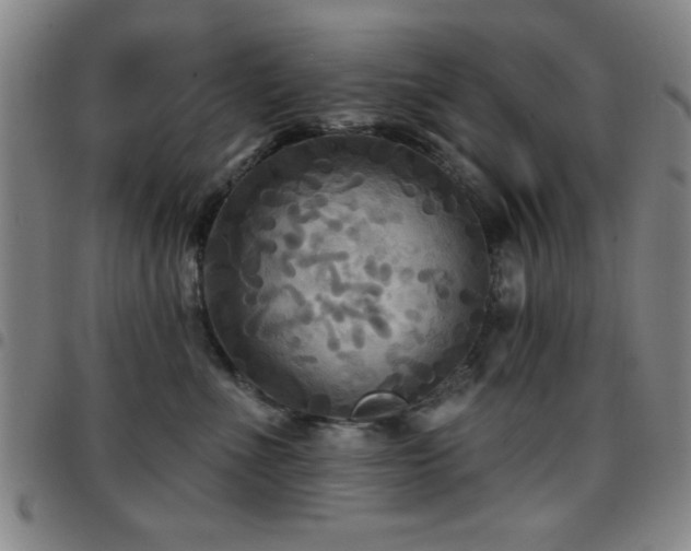 X0000097890523200803141336