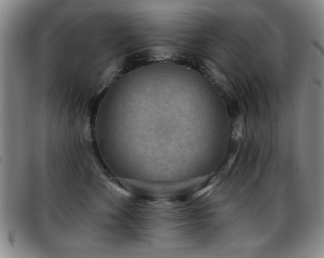 X0000097890524200803141335