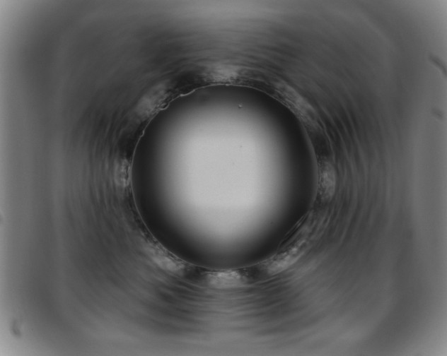 X0000097890525200803141335