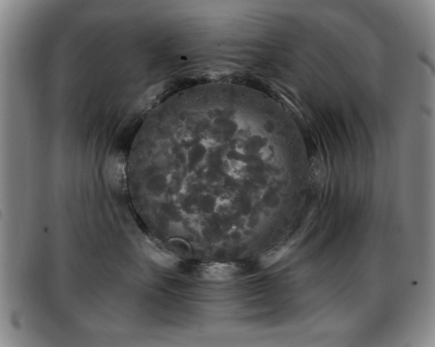 X0000097890527200803141335