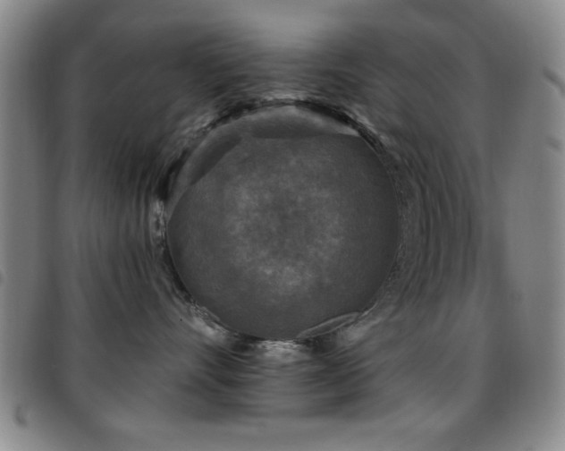 X0000097890528200803141335