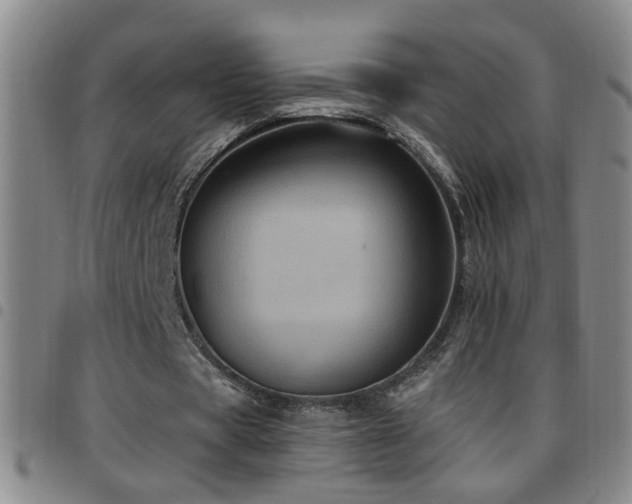 X0000097890529200803141335