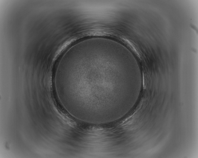 X0000097890531200803141335