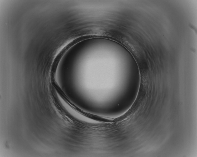 X0000097890532200803141335