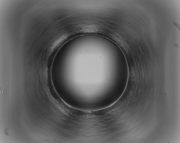 X0000097890535200803141335