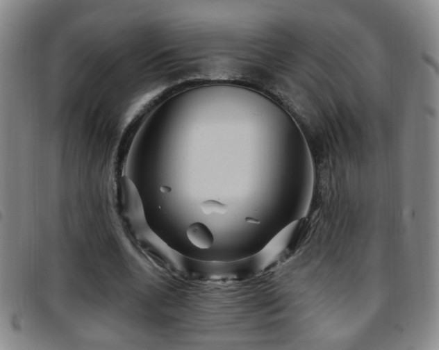 X0000097890536200803141335