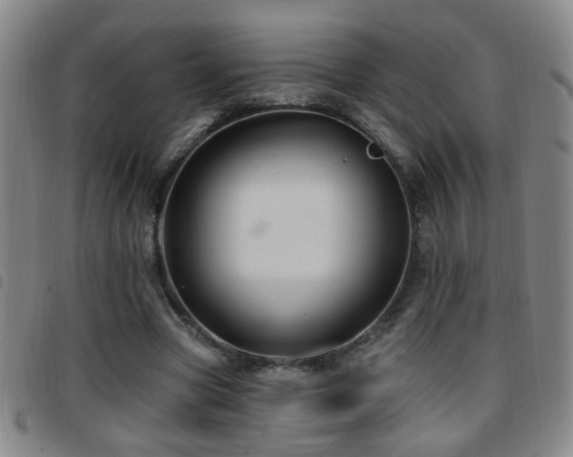 X0000097890537200803141335