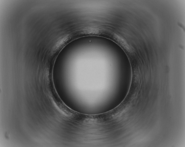 X0000097890538200803141335