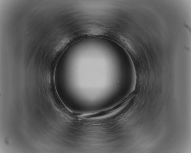 X0000097890539200803141335