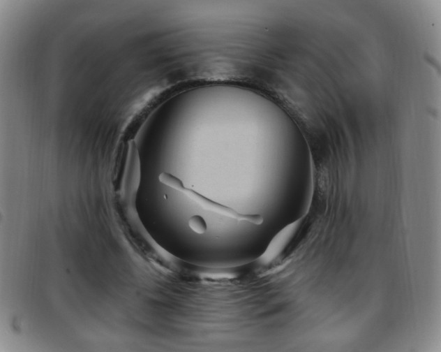 X0000097890540200803141335