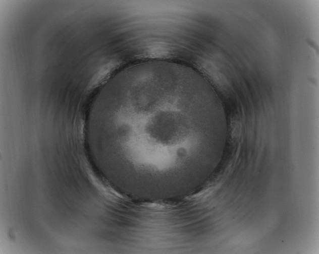 X0000097890542200803141335