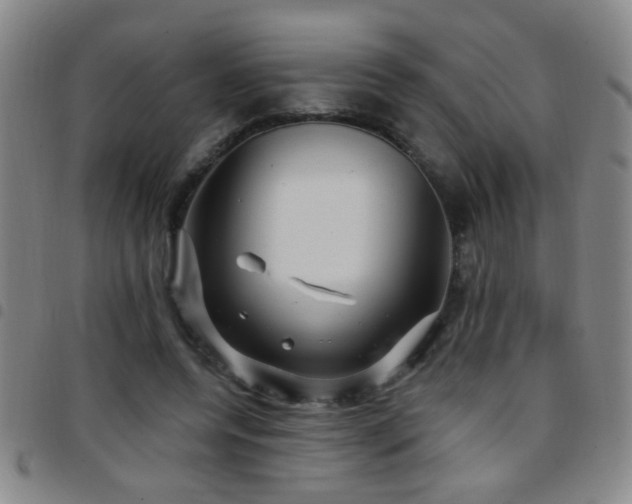 X0000097890544200803141335