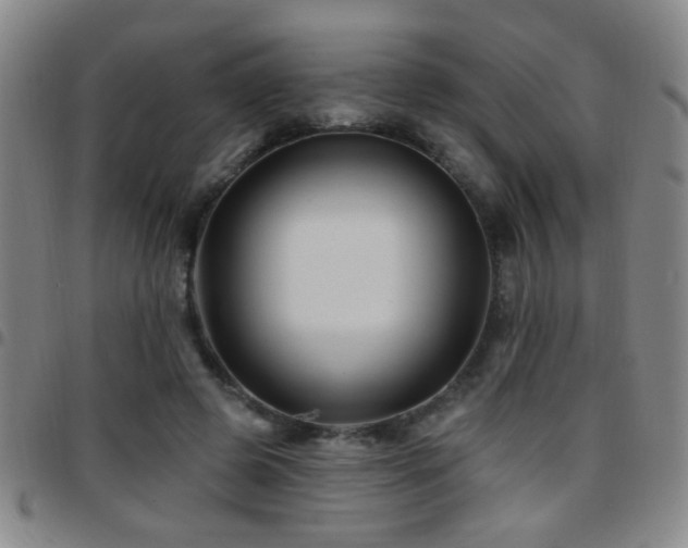 X0000097890545200803141335