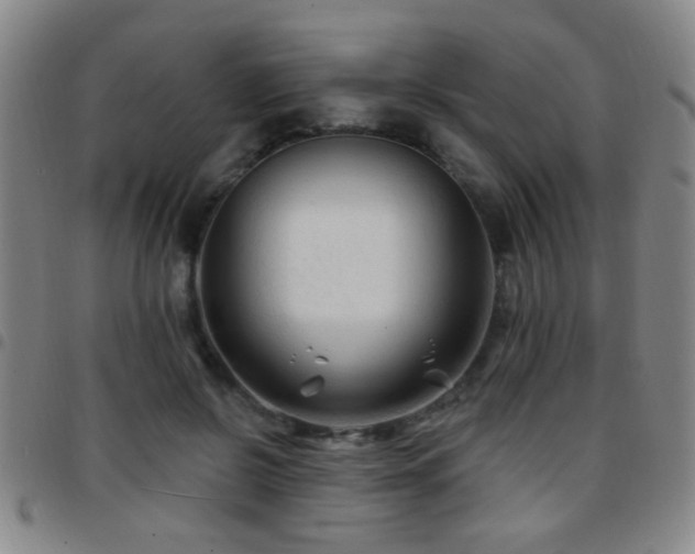 X0000097890550200803141335