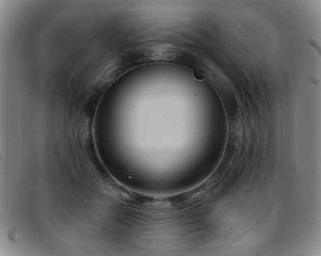 X0000097890554200803141335