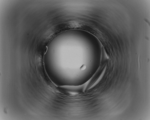 X0000097890556200803141335