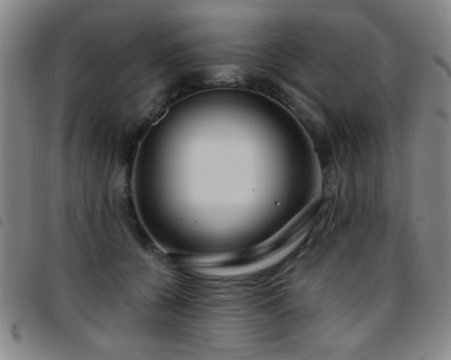 X0000097890560200803141335
