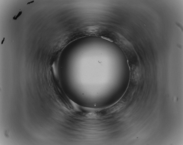 X0000097890562200803141335