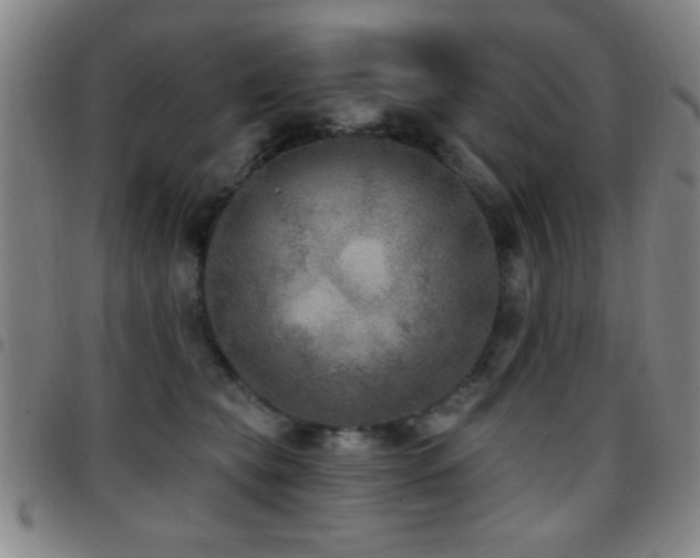 X0000097890565200803141335