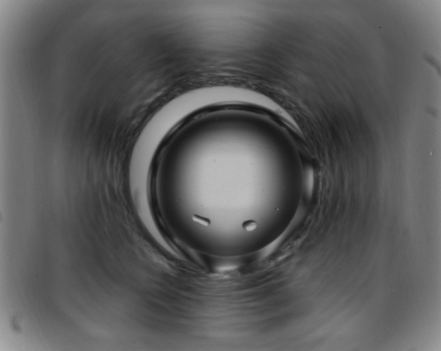 X0000097890566200803141335