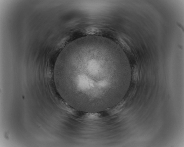 X0000097890569200803141335