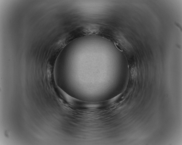 X0000097890570200803141335