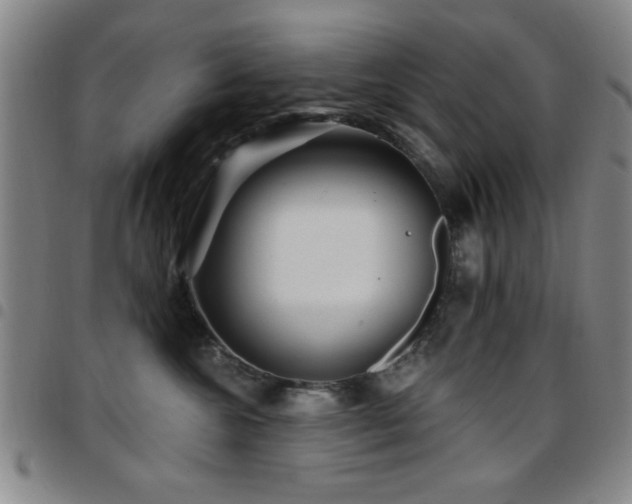 X0000097890572200803141335