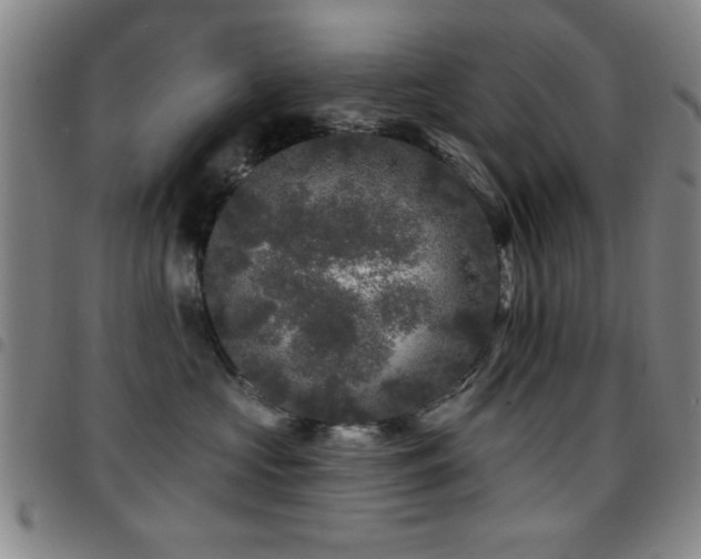 X0000097890573200803141335