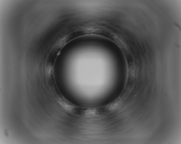 X0000097890574200803141335