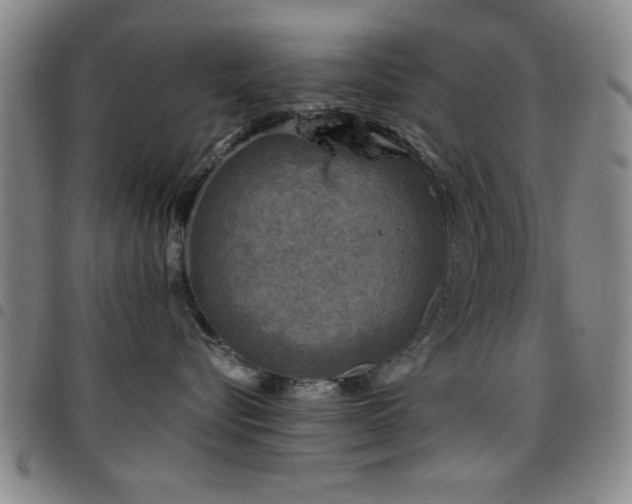 X0000097890576200803141335