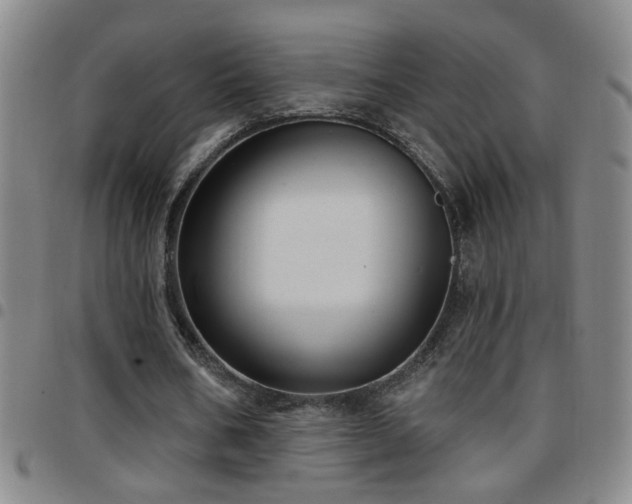 X0000097890578200803141335