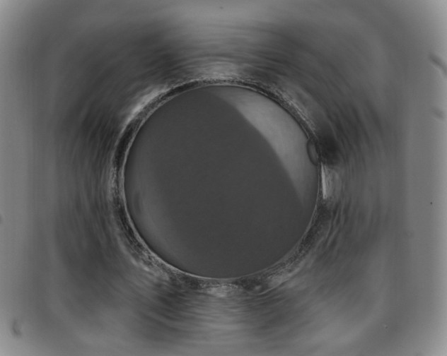X0000097890579200803141335